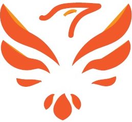 Pflegedienst Phönix Gondelsheim